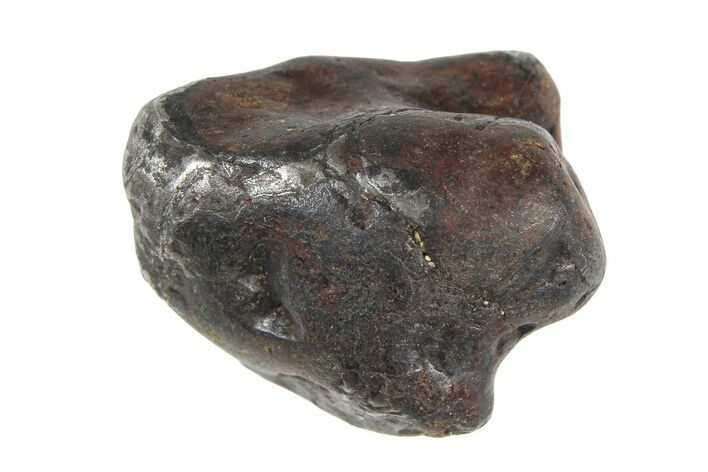Sericho Pallasite Meteorite ( g) Metal Skeleton #383192